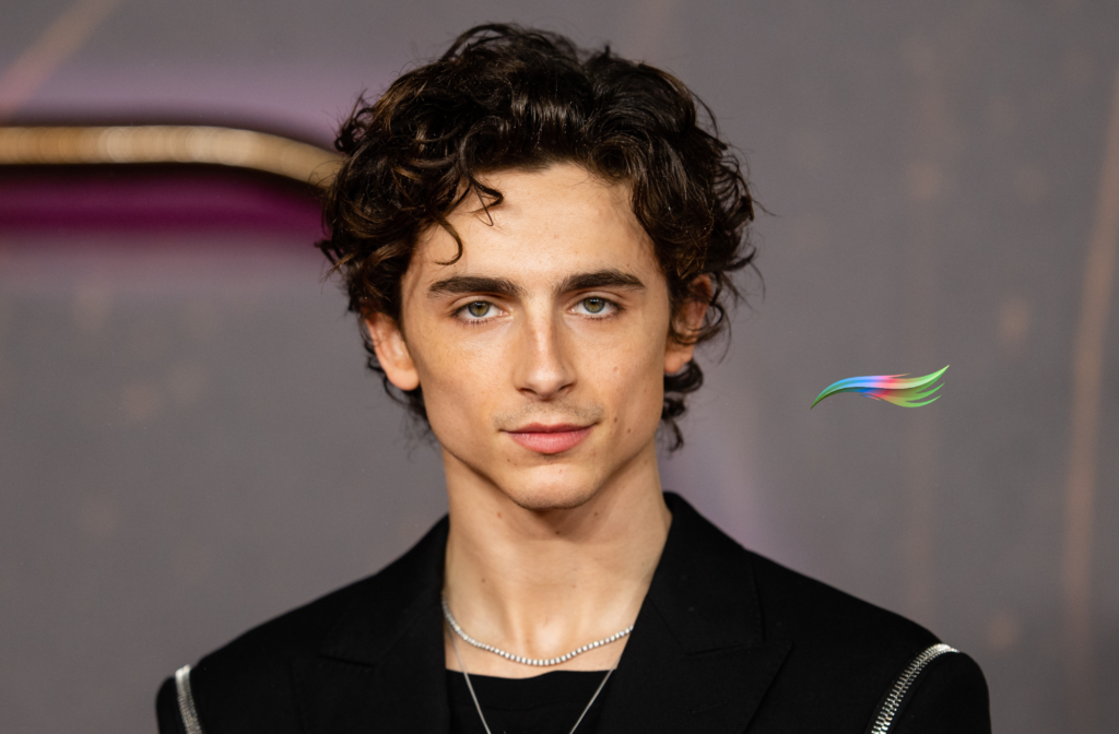 Timothée Chalamet Biography: Age, Career, Net Worth & Relationship Insights
